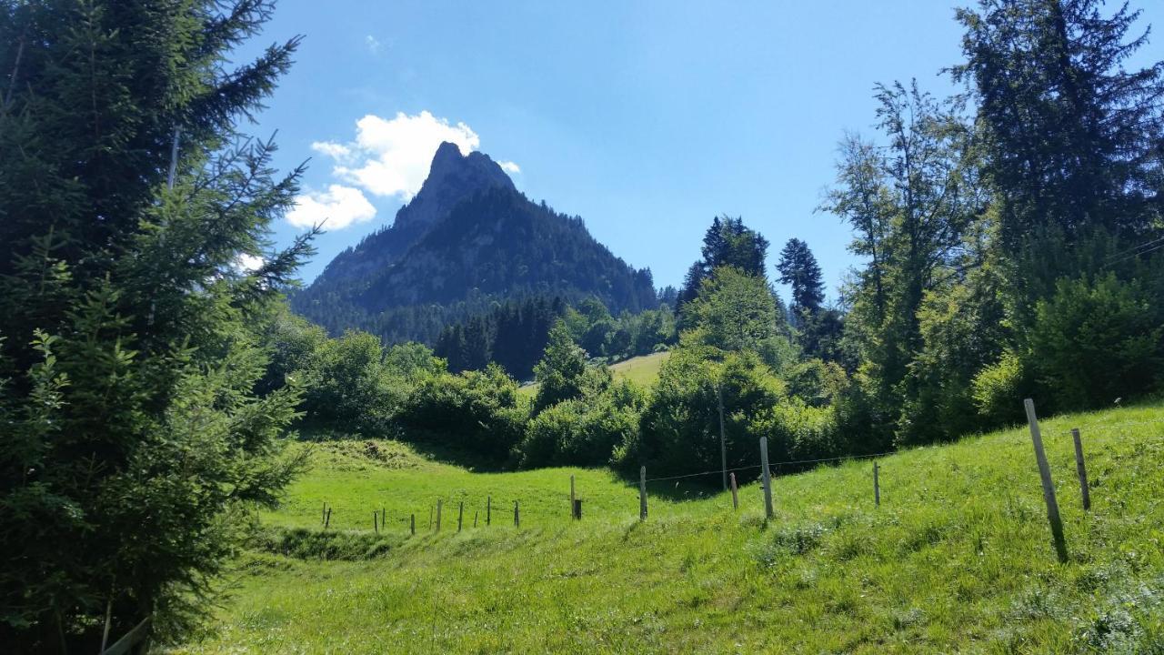 Wettermatte Villa Kiental Exterior photo